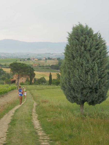 Premi per vedere l'immagine alla massima grandezza