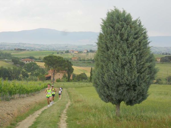 Premi per vedere l'immagine alla massima grandezza