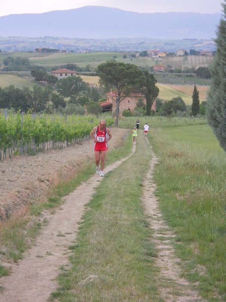 Premi per vedere l'immagine alla massima grandezza