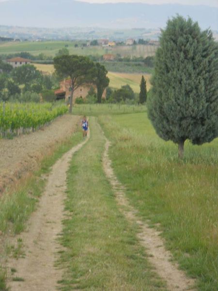 Premi per vedere l'immagine alla massima grandezza