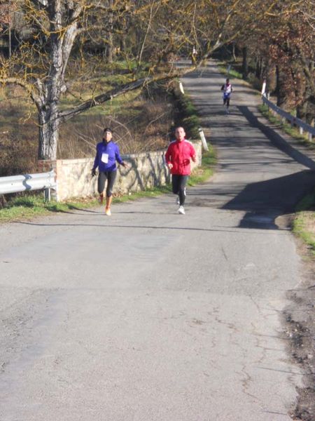 Premi per vedere l'immagine alla massima grandezza