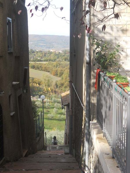 Premi per vedere l'immagine alla massima grandezza