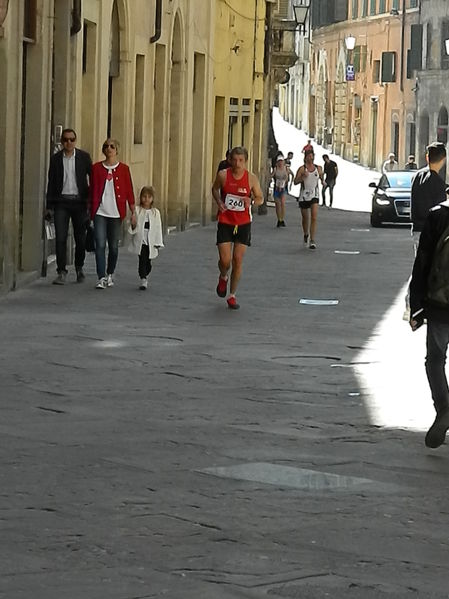 Premi per vedere l'immagine alla massima grandezza