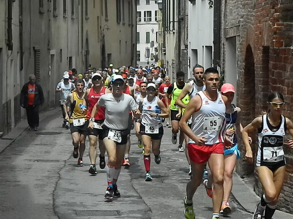 Premi per vedere l'immagine alla massima grandezza