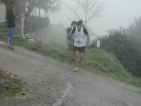 Premi per vedere l'immagine alla massima grandezza