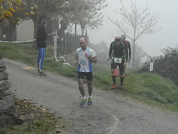 Premi per vedere l'immagine alla massima grandezza