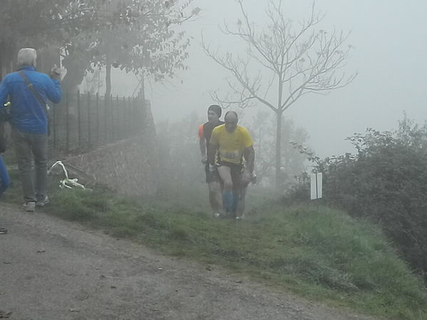 Premi per vedere l'immagine alla massima grandezza