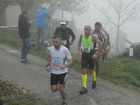 Premi per vedere l'immagine alla massima grandezza