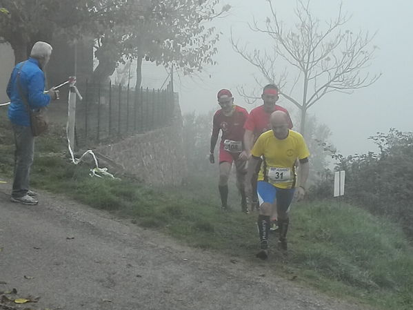 Premi per vedere l'immagine alla massima grandezza