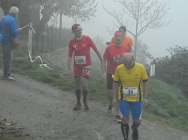 Premi per vedere l'immagine alla massima grandezza