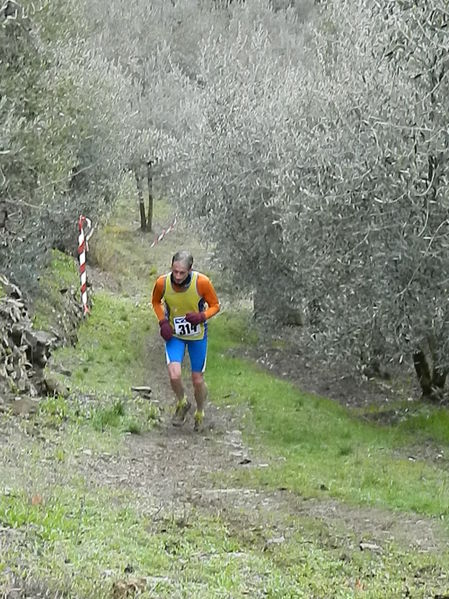 Premi per vedere l'immagine alla massima grandezza