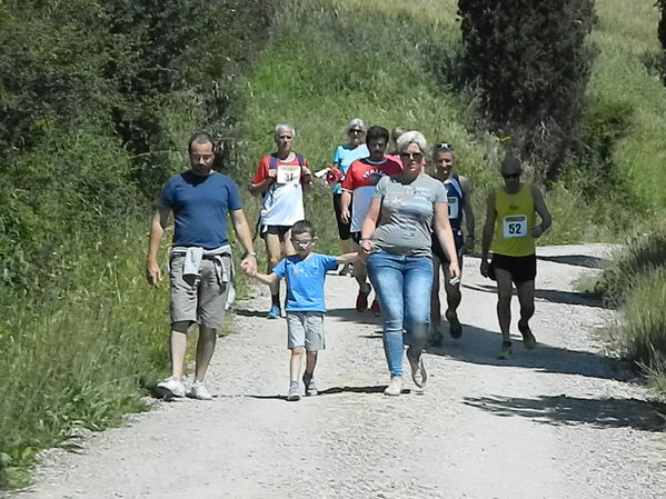 Premi per vedere l'immagine alla massima grandezza