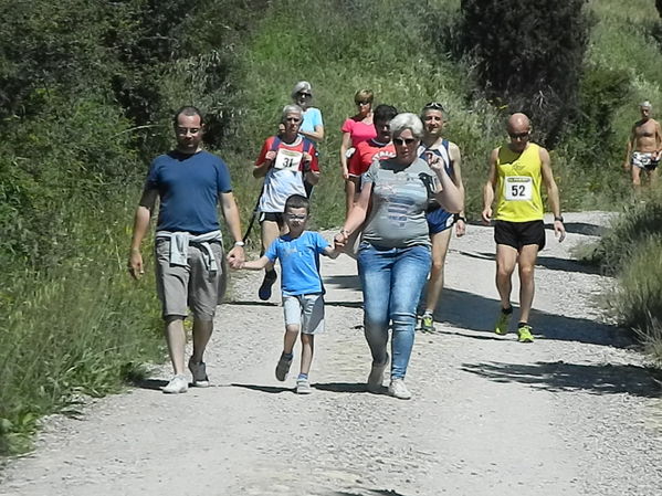 Premi per vedere l'immagine alla massima grandezza