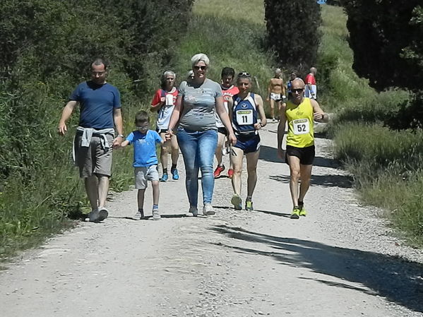 Premi per vedere l'immagine alla massima grandezza