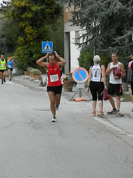 Premi per vedere l'immagine alla massima grandezza