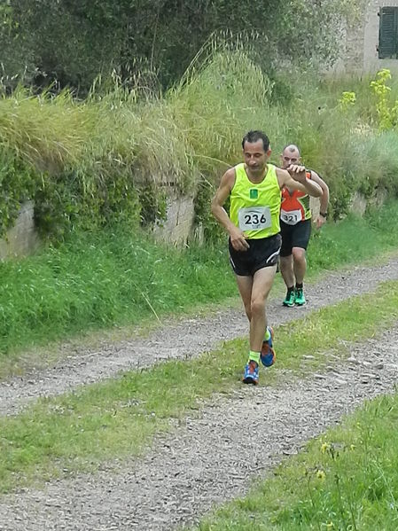 Premi per vedere l'immagine alla massima grandezza