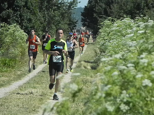 Premi per vedere l'immagine alla massima grandezza