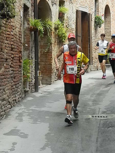 Premi per vedere l'immagine alla massima grandezza