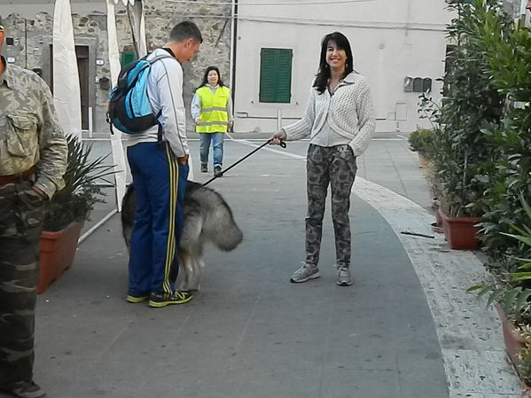 Premi per vedere l'immagine alla massima grandezza