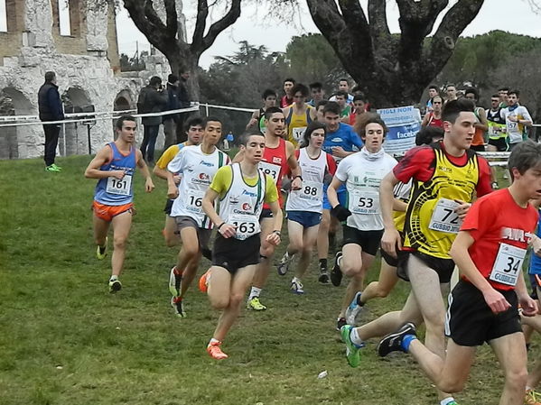 Premi per vedere l'immagine alla massima grandezza