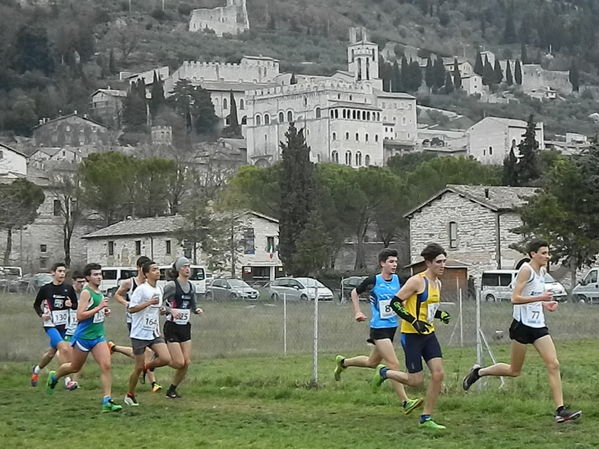 Premi per vedere l'immagine alla massima grandezza