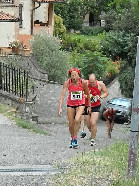 Premi per vedere l'immagine alla massima grandezza