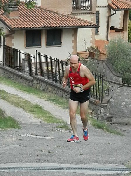 Premi per vedere l'immagine alla massima grandezza