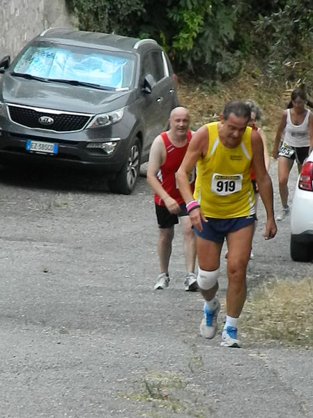 Premi per vedere l'immagine alla massima grandezza