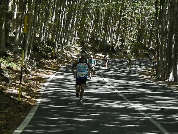 Premi per vedere l'immagine alla massima grandezza