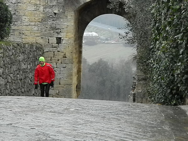 Premi per vedere l'immagine alla massima grandezza