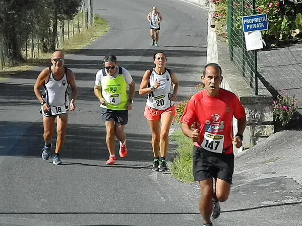 Premi per vedere l'immagine alla massima grandezza