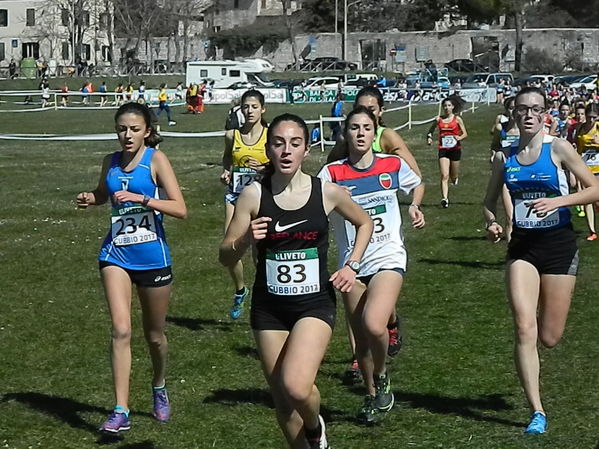 Premi per vedere l'immagine alla massima grandezza