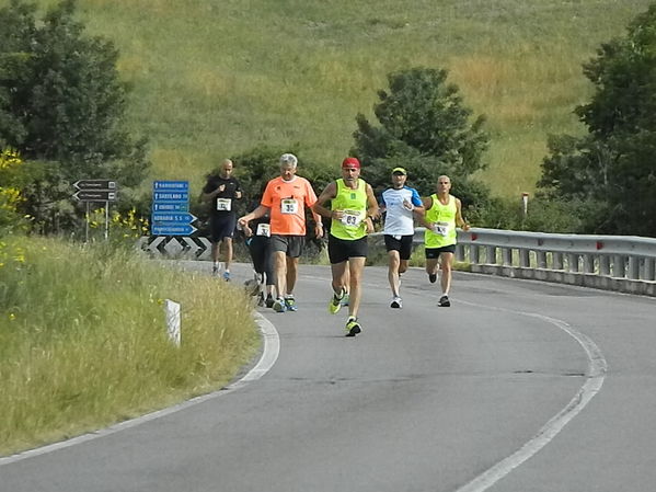 Premi per vedere l'immagine alla massima grandezza