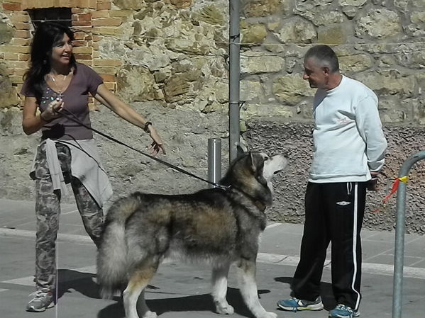 Premi per vedere l'immagine alla massima grandezza