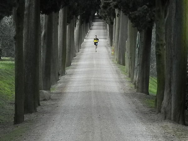 Premi per vedere l'immagine alla massima grandezza