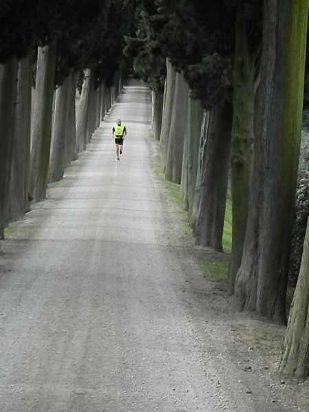 Premi per vedere l'immagine alla massima grandezza