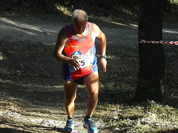 Premi per vedere l'immagine alla massima grandezza