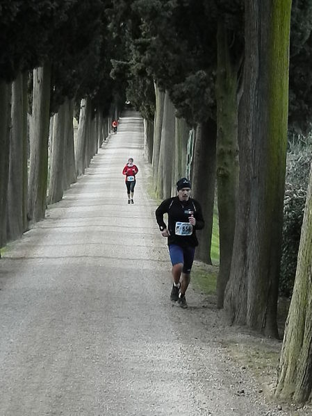 Premi per vedere l'immagine alla massima grandezza