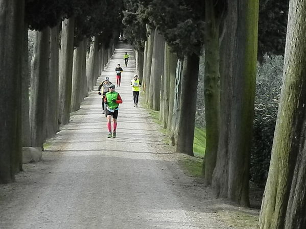 Premi per vedere l'immagine alla massima grandezza