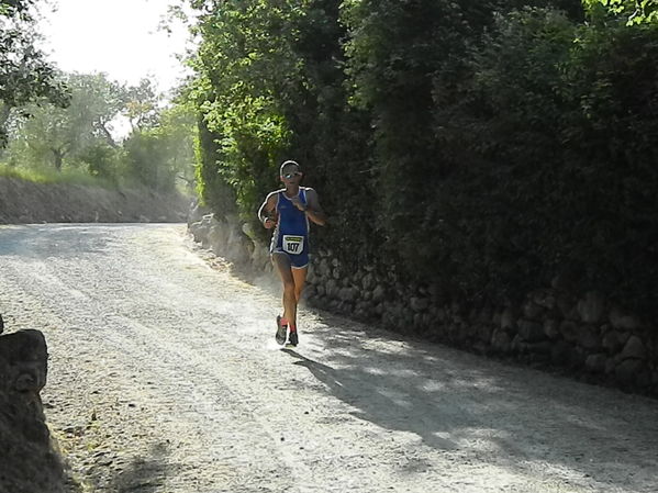 Premi per vedere l'immagine alla massima grandezza