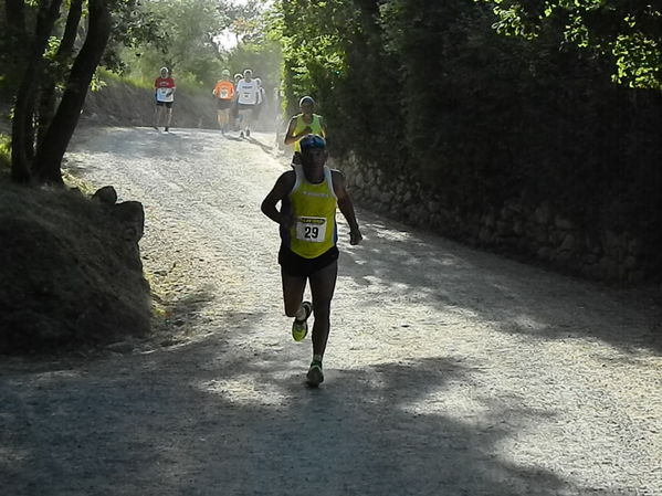 Premi per vedere l'immagine alla massima grandezza