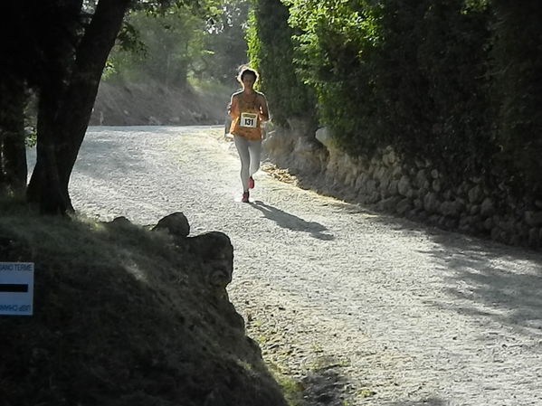 Premi per vedere l'immagine alla massima grandezza