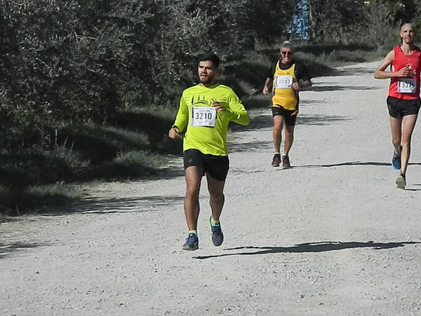 Premi per vedere l'immagine alla massima grandezza