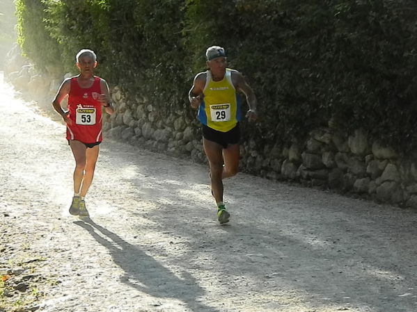 Premi per vedere l'immagine alla massima grandezza