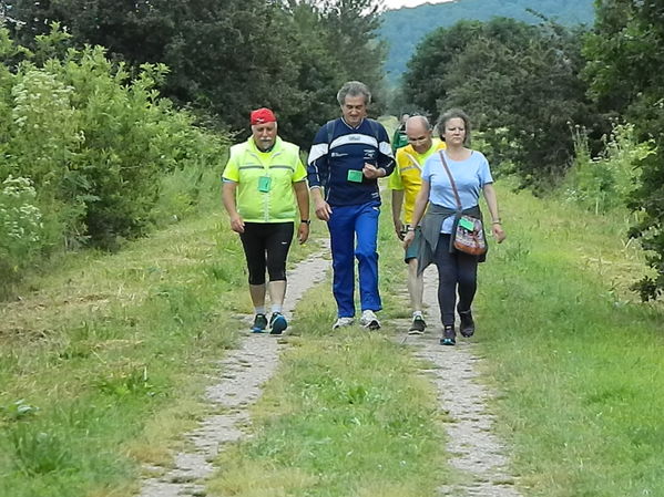 Premi per vedere l'immagine alla massima grandezza