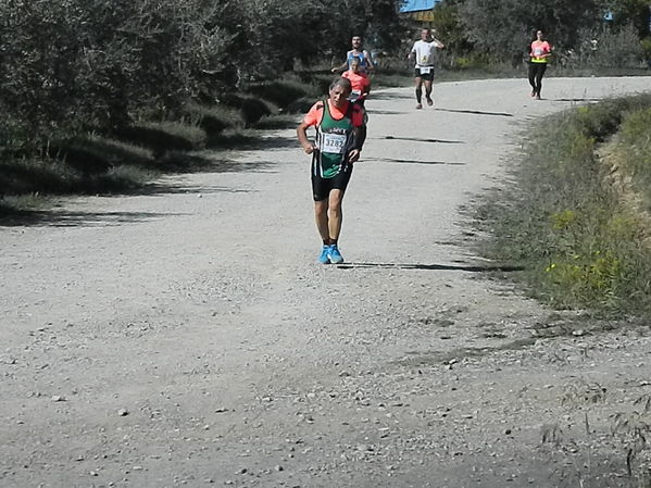 Premi per vedere l'immagine alla massima grandezza