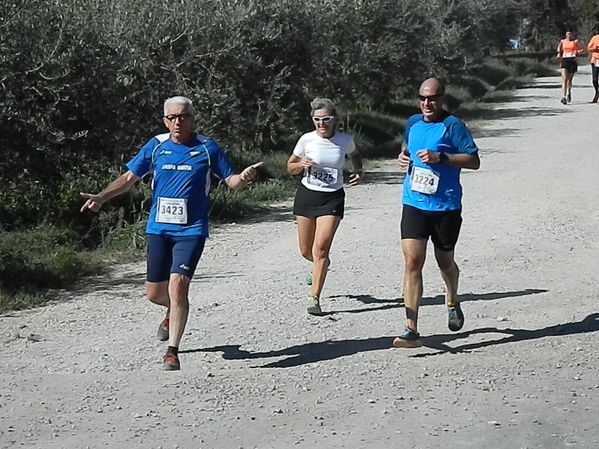 Premi per vedere l'immagine alla massima grandezza