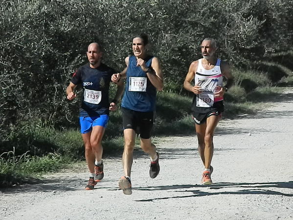 Premi per vedere l'immagine alla massima grandezza