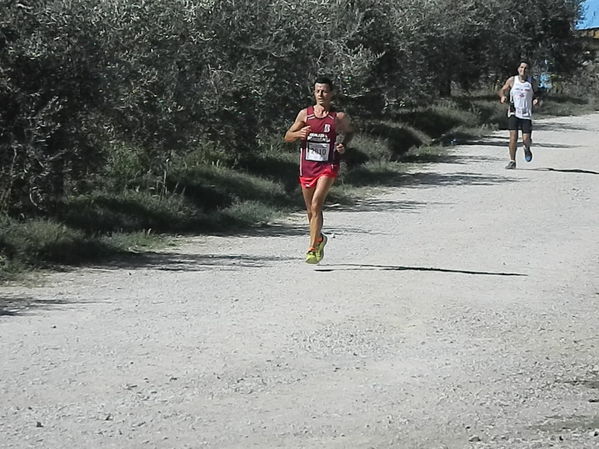 Premi per vedere l'immagine alla massima grandezza