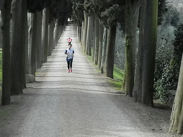 Premi per vedere l'immagine alla massima grandezza